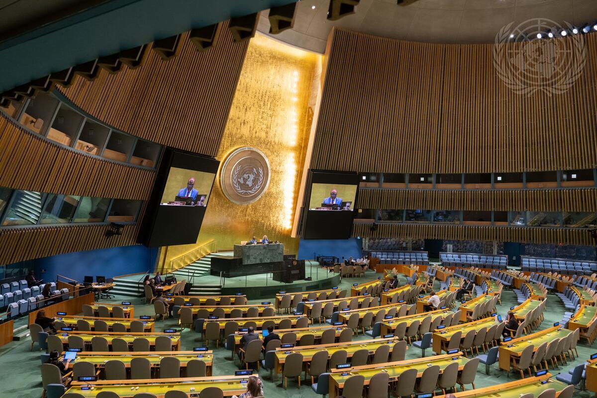 &nbsp;high-level meeting on the SDS escalating threat, under the theme “Working Across Agendas for Resilience and Sustainability”. NY