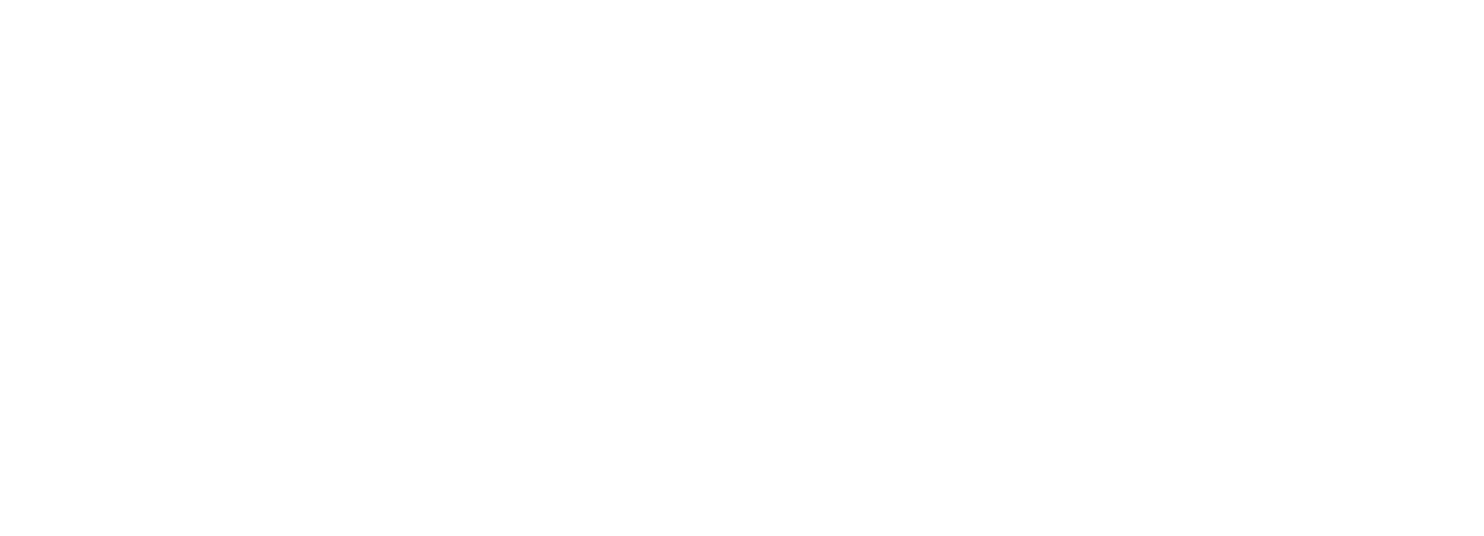 APDIM white logo